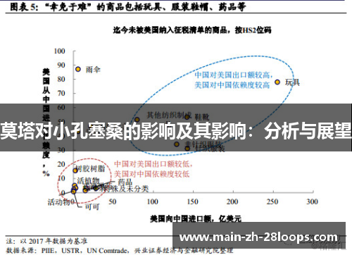 莫塔对小孔塞桑的影响及其影响:分析与展望 莫塔对小孔塞桑的影响及其影响:分析与展望