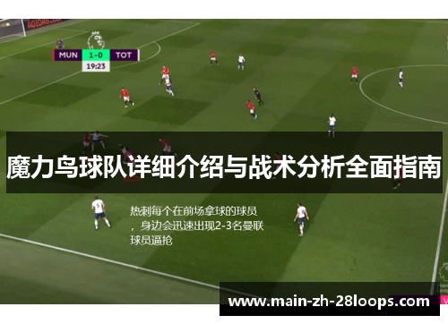 魔力鸟球队详细介绍与战术分析全面指南