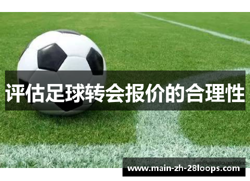 评估足球转会报价的合理性
