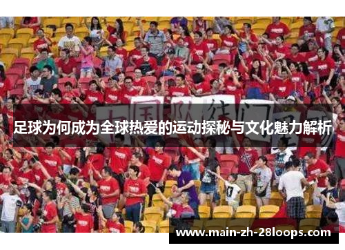 足球为何成为全球热爱的运动探秘与文化魅力解析