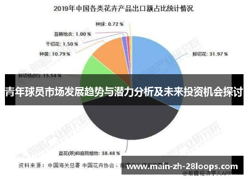 青年球员市场发展趋势与潜力分析及未来投资机会探讨 青年球员市场发展趋势与潜力分析及未来投资机会探讨